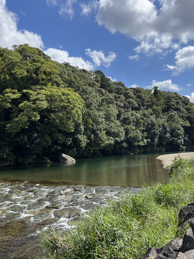 吉野熊野国立公園内の瀞峡（どろきょう）