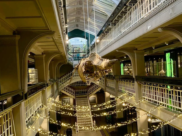 Manchester Museum 