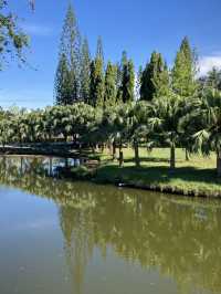 The Crafted Lake at Pattani Park