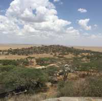 Serengeti Viewpoint｜絕美景色｜坦尚尼亞 Eden Valley