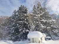 北海道旅遊🥳喜茂別路線雪場❄️自駕動力雪橇體驗分享😍欣賞羊蹄山沿途雪景🗻