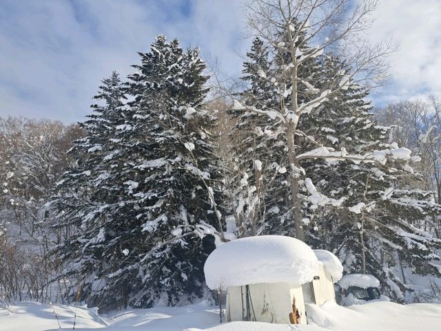 北海道旅遊🥳喜茂別路線雪場❄️自駕動力雪橇體驗分享😍欣賞羊蹄山沿途雪景🗻