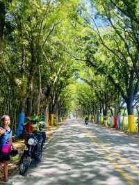 Amazing place 