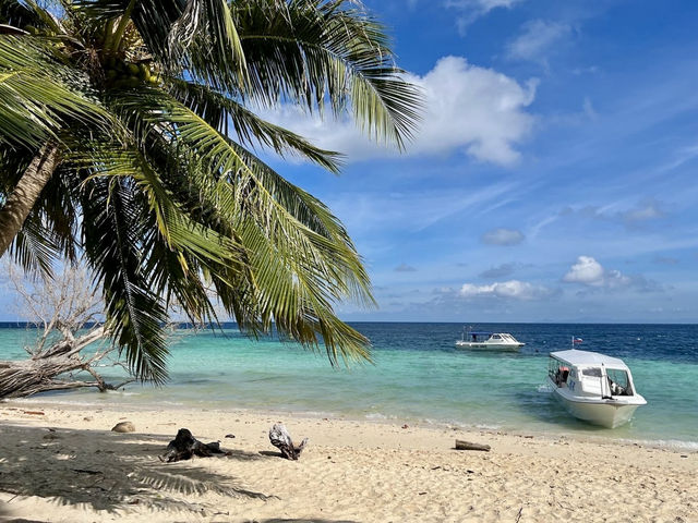 🐠 SIPADAN ISLAND: Where the Ocean Floor Drops & Jaw-Dropping Begins! 🌊