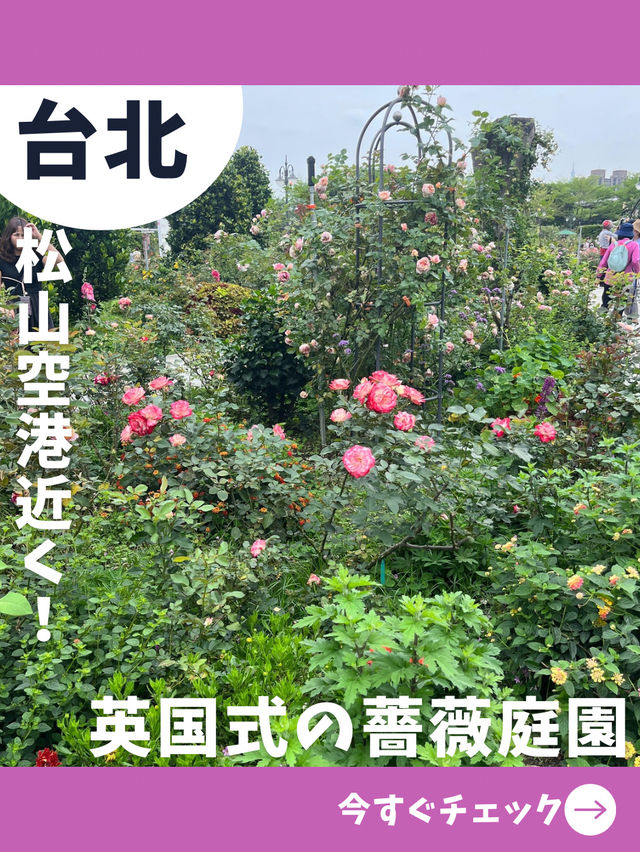 【台北女一人旅】松山空港近く！無料で英国庭園が楽しめる隠れスポット！