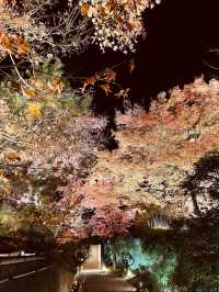 京都を代表する秋の名所「清水寺」へ