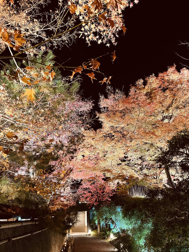 京都を代表する秋の名所「清水寺」へ