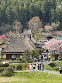 Osaka 4 Days Travel Guide 