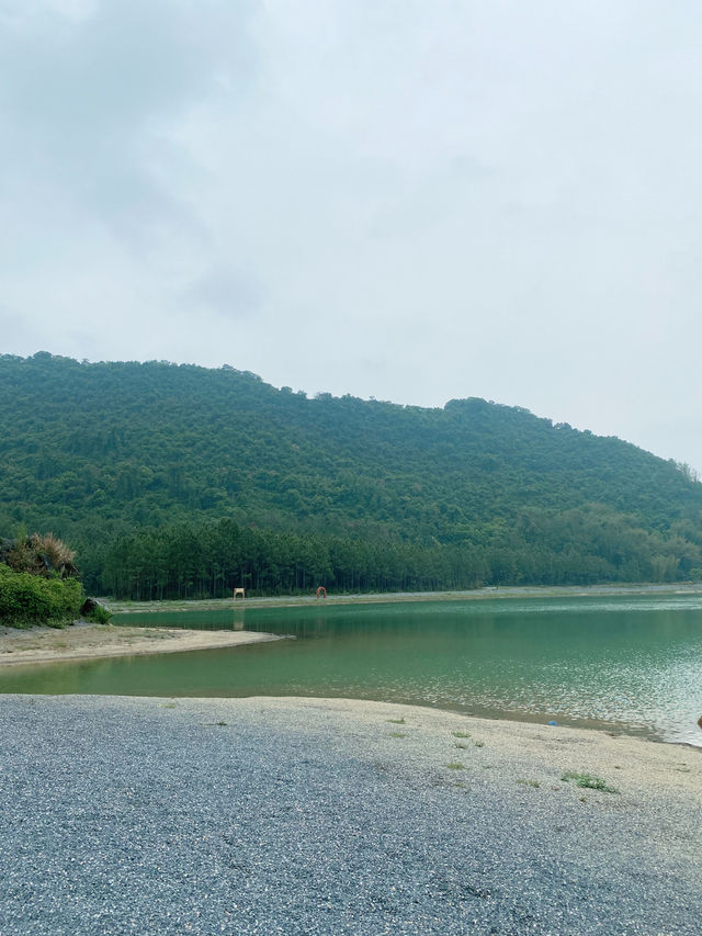英德｜積慶里仙湖情人橋，同心島，人少景也美💚