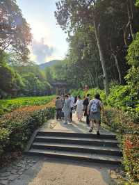 📍【杭州靈隱寺一日遊】千年古剎靜心之旅！🌿🙏