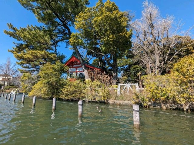 【東京】神社や季節の花を見ながらボートに乗れる洗足池公園