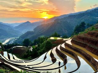 MÙ CANG CHẢI | MÙA VÀNG TRÊN NÓC NHÀ MÂY