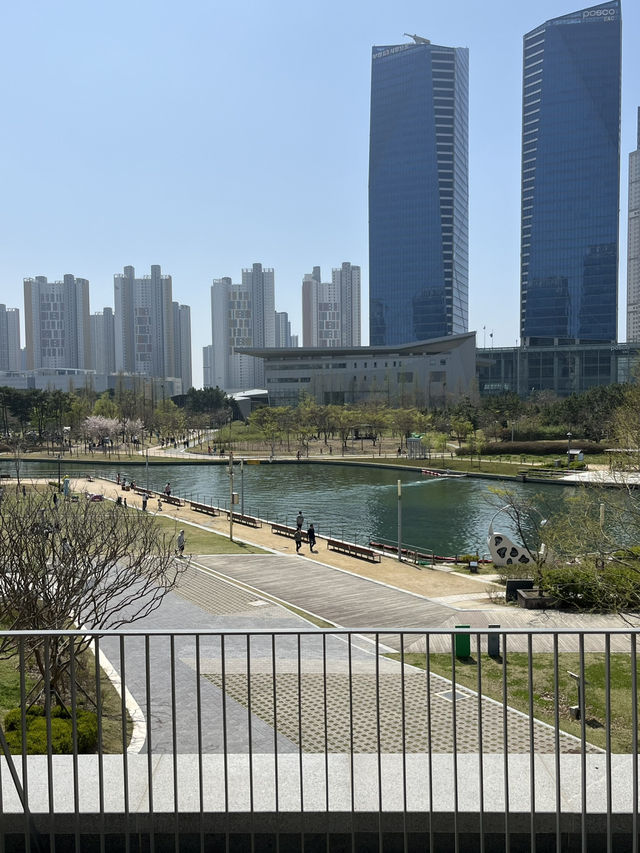 탁트인 센트럴파크 뷰를 보며 마시는 황홀한 커피 한 잔