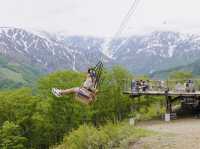🏔️ Hakuba Iwatake Mountain Resort 