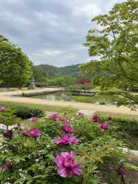 湖巌(ホアム美術館)の庭園にあるカフェ「金玉堂」