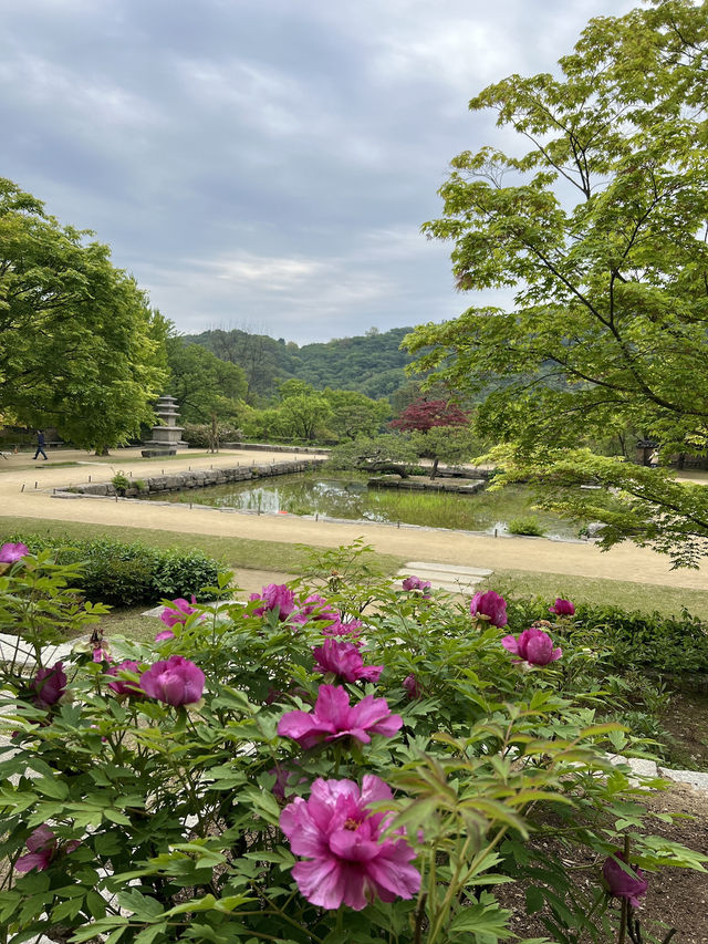 湖巌(ホアム美術館)の庭園にあるカフェ「金玉堂」