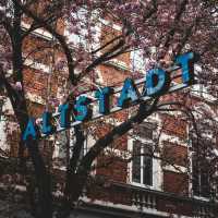 Bonn’s Cherry Blossom Avenue: Europe’s Hidden Spring Gem