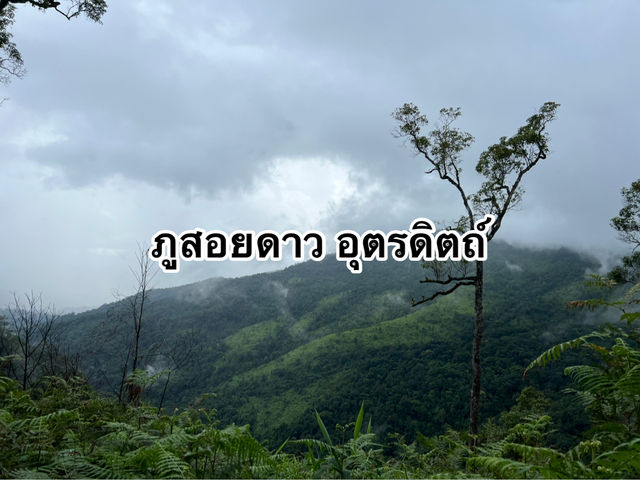 ภูสอยดาว