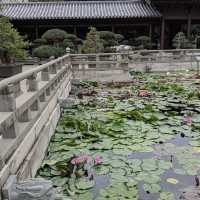志蓮淨苑及南蓮園池 (Chi Lin Nunnery and Nan Lian Garden) - 寧靜的節慶文化體驗 (Tranquil Festive Cultural Experience)