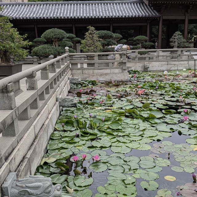 志蓮淨苑及南蓮園池 (Chi Lin Nunnery and Nan Lian Garden) - 寧靜的節慶文化體驗 (Tranquil Festive Cultural Experience)