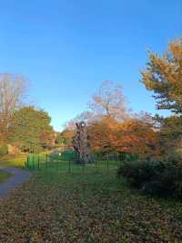 Preston Park