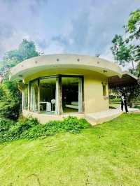 รีวิวThe Scenery Vintage Farm 