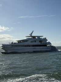 Cairns trip