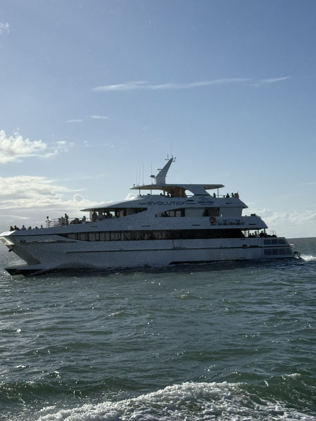Cairns trip