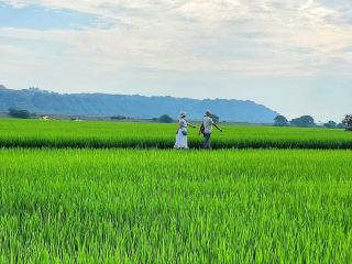 Taichung's Hidden Countryside - Waipu Forget Worries Valley + Painted Rice Fields
