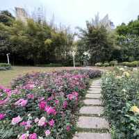Shenzhen’s Hidden Gem: 人民公园 (People’s Park)