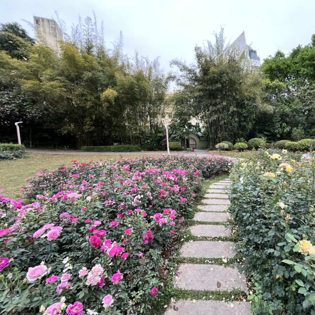Shenzhen’s Hidden Gem: 人民公园 (People’s Park)