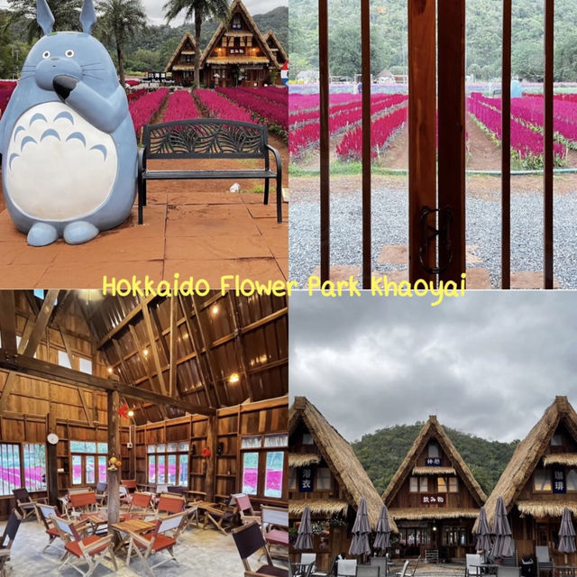 แจกพิกัด cafe & travel เขาใหญ่ 🏔️✨🐏🫶🏻