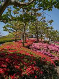 Commemorative Park