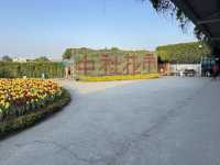 台中后里｜中社觀光花市，賞花、買盆栽、毛孩也能一起玩！