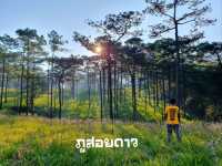 ที่นี้ ภูสอยดาว