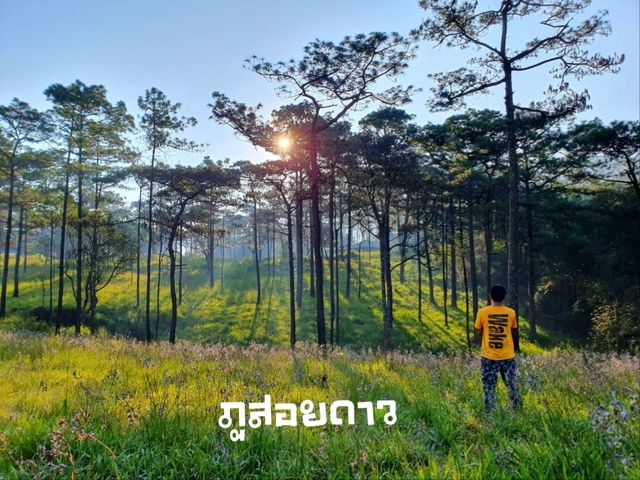 ที่นี้ ภูสอยดาว