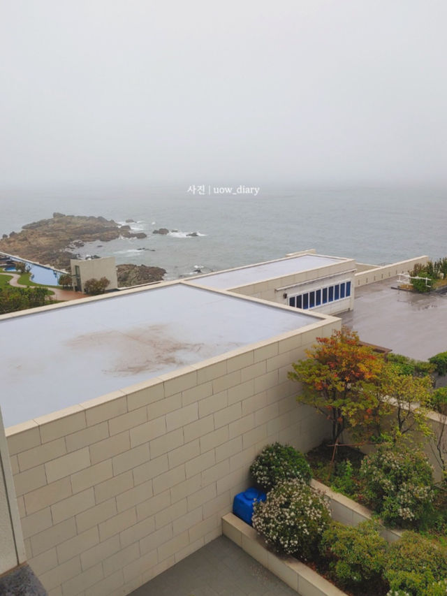 부산 호캉스는 여기서~ 바다 코앞!