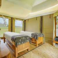 A Luxurious Escape Beneath the Stars
