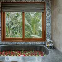 A Hidden Gem of Tranquility and Charm