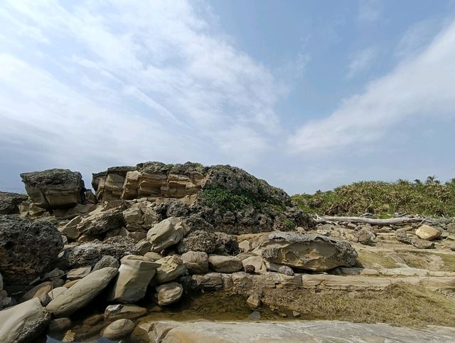 台東免費景點-富岡地質公園(小野柳)