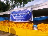 เจดีย์ยอดทองคำ วัดพระมหาธาตุวรมหาวิหาร