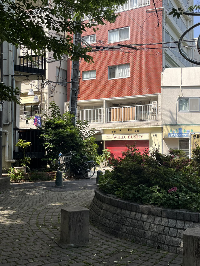 하타가야 주변 산책🌿