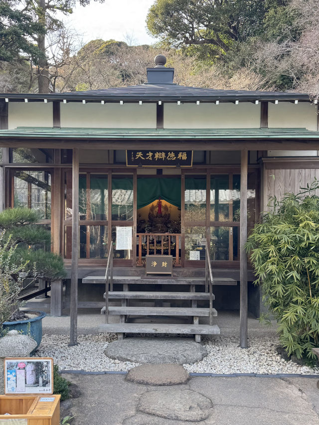 Hasedera Temple ✨ วัดเก่าแก่ในเมือง Kamakura