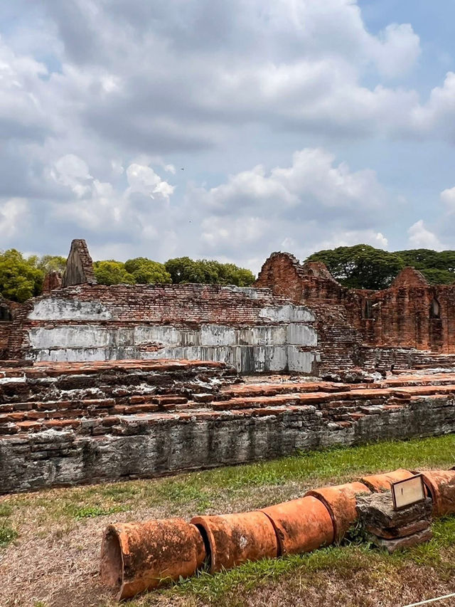 Golden prangs, golden fields — Lopburi’s