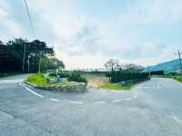 Seongnae Reservoir: Nature’s Mirror