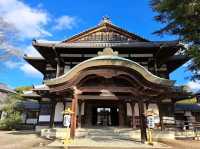 Ritsurin Garden – Tranquility in Every Season