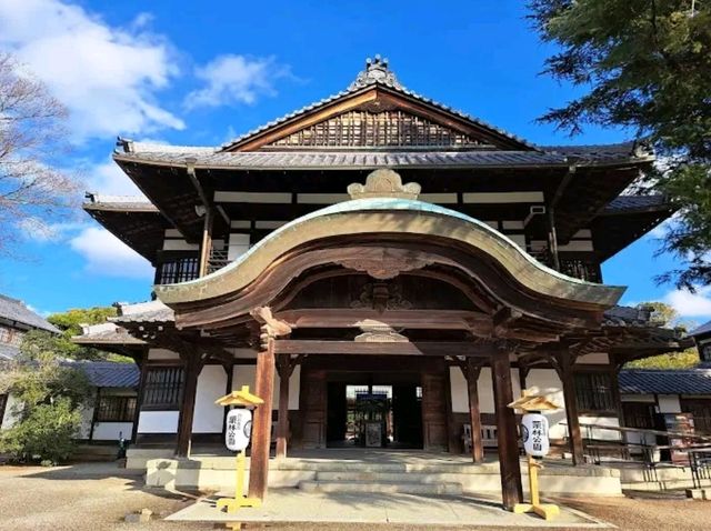Ritsurin Garden – Tranquility in Every Season