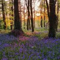 Slieve Bloom Mountains – Ireland’s Hidden Highlands
