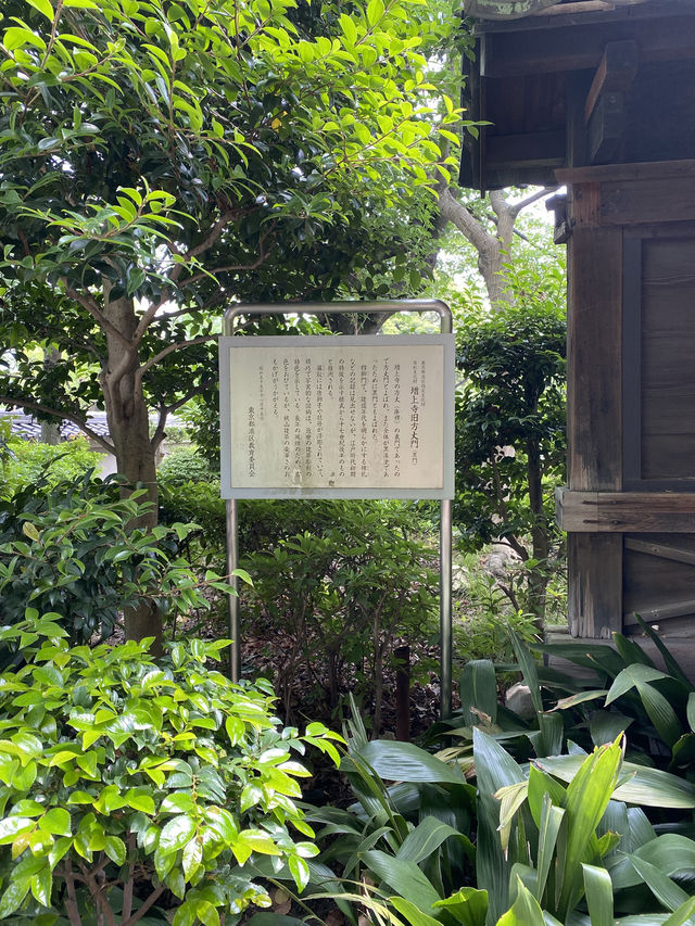 【東京都芝公園🇯🇵増上寺】徳川家の菩提寺/日本有数の寺院☺️