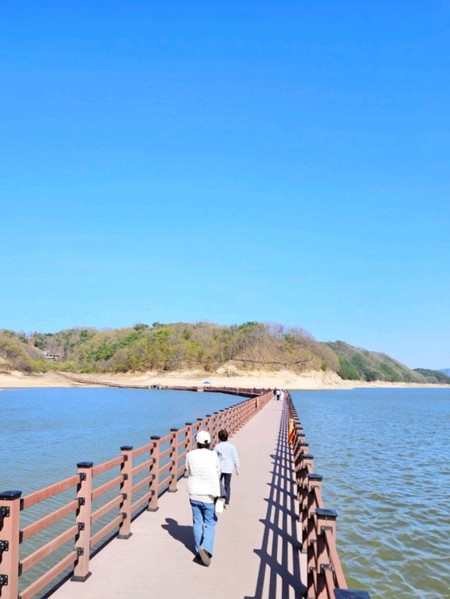 안동호를 가로질러보는💚 안동예끼마을